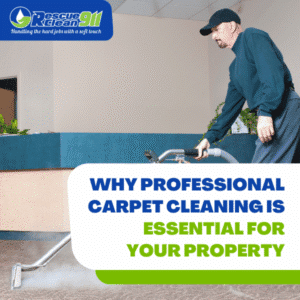 best carpet cleaning companies in south florida