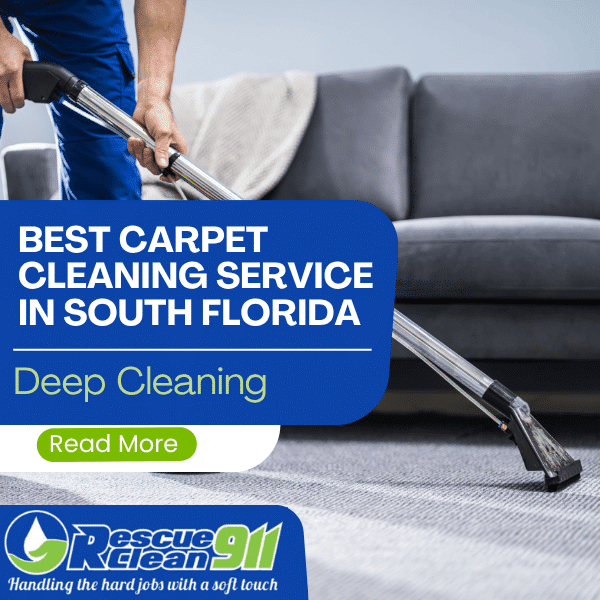 best carpet cleaning service
