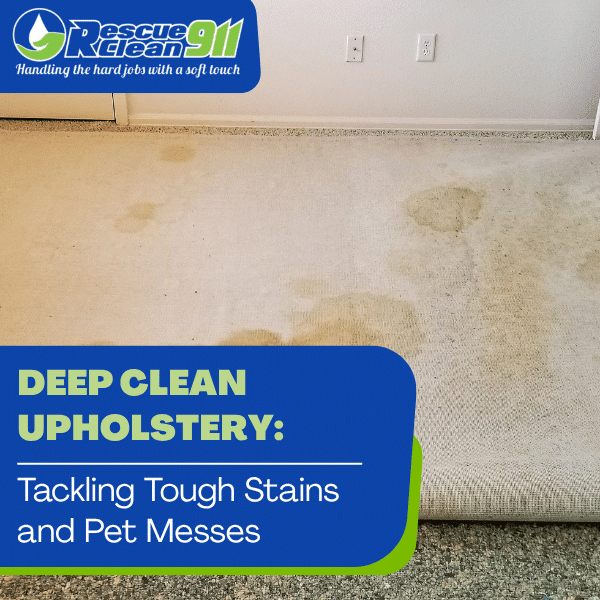 clean upholstery services in south florida