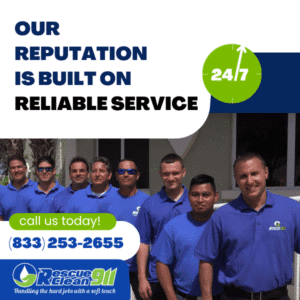 professional upholstery cleaning