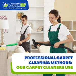 traditional steam cleaning for carpets