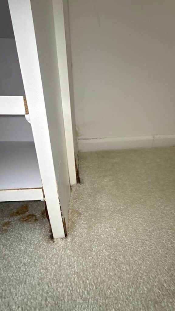 Hidden mold damage behind a wall in a Wellington home