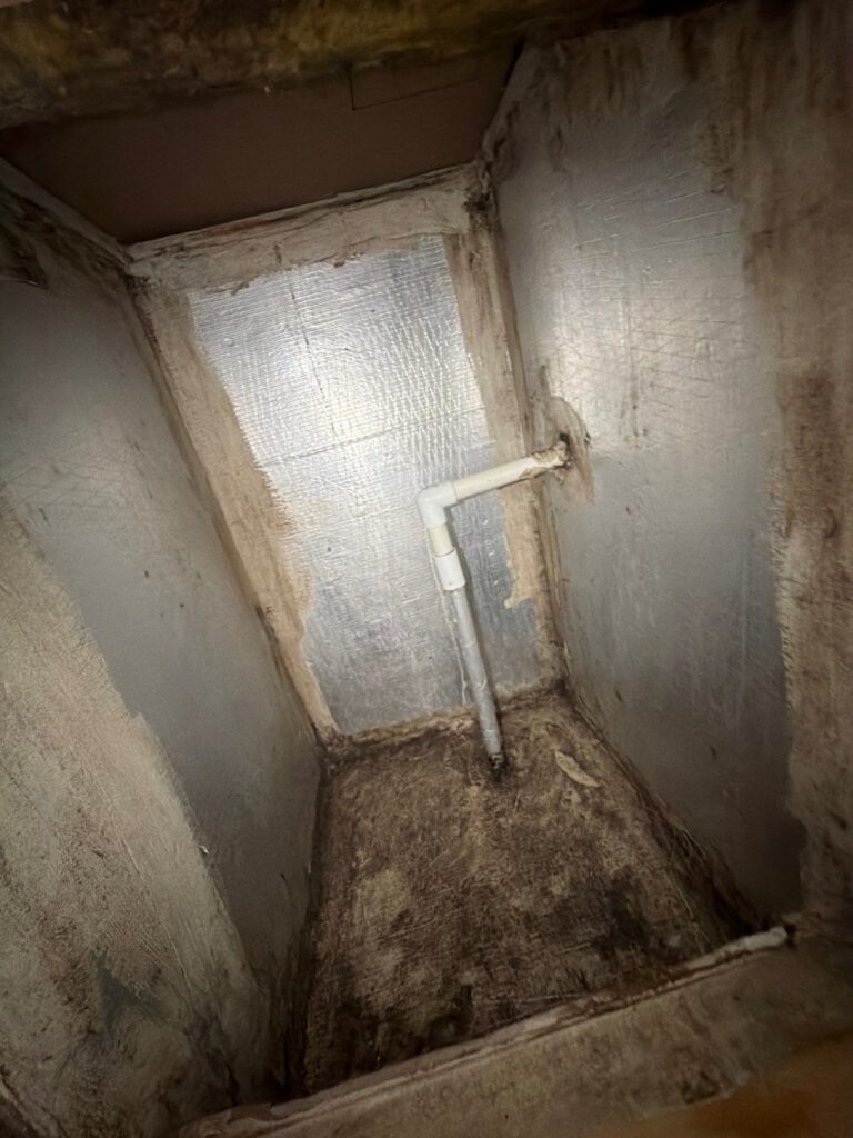 Mold contamination discovered inside the residential air handler