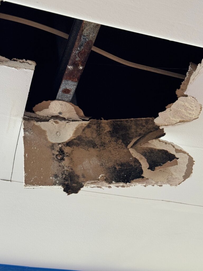 Mold-damaged drywall being removed from the affected unit