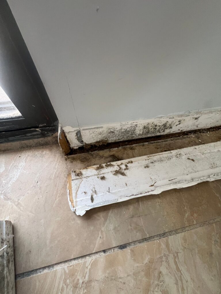 Water damage discovered after a dishwasher supply line leaked while the homeowner was away