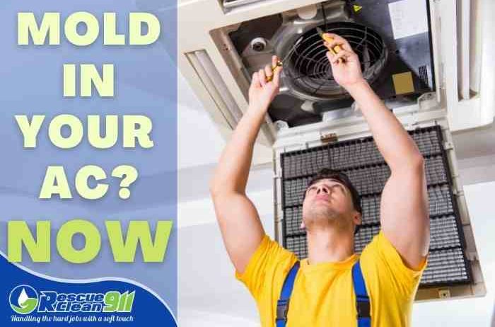 Mold In your AC